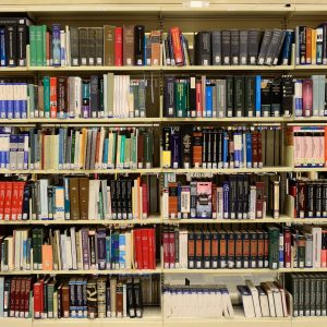 Die Insolvenz im Mietverhältnis - sowie Handlungsoptionen des Vermieters