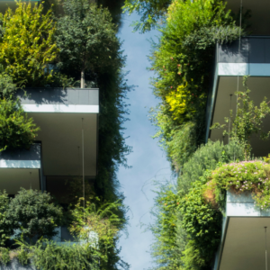Manage to Green: Bestandsgebäude zukunftssicher machen - 2 Stunden