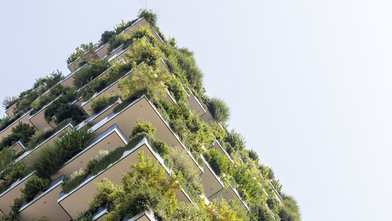 Sustainable Building Constructor (ADI)